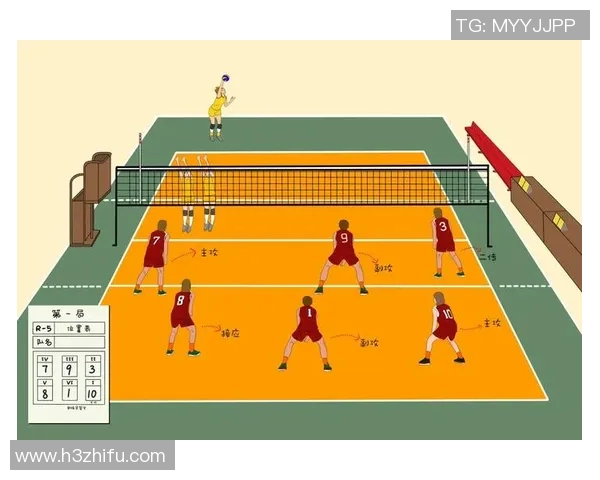 西安排球队的节奏打法深度分析与战术解读
