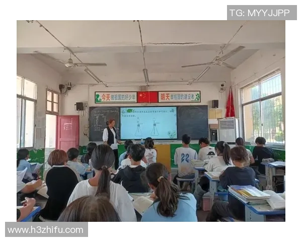 对话杨丽：谈排球生涯