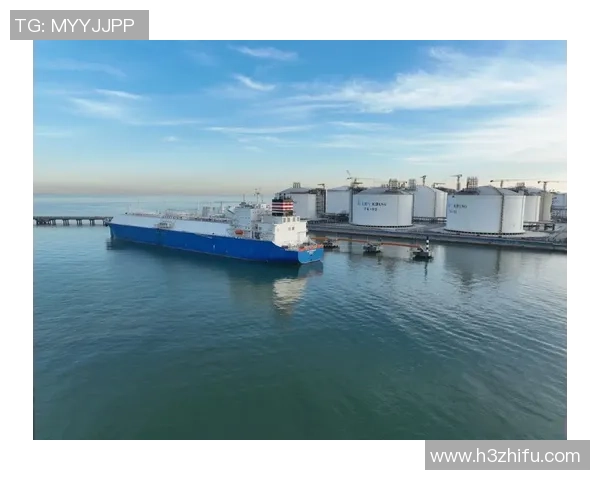 独家分析：LNG的耐力对比