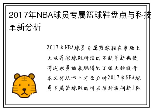 2017年NBA球员专属篮球鞋盘点与科技革新分析