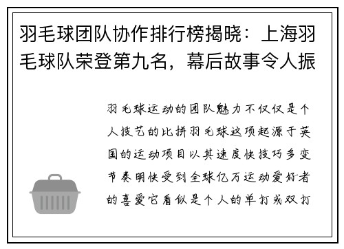 羽毛球团队协作排行榜揭晓：上海羽毛球队荣登第九名，幕后故事令人振奋