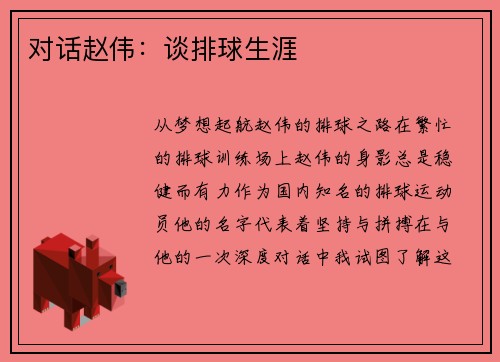 对话赵伟：谈排球生涯